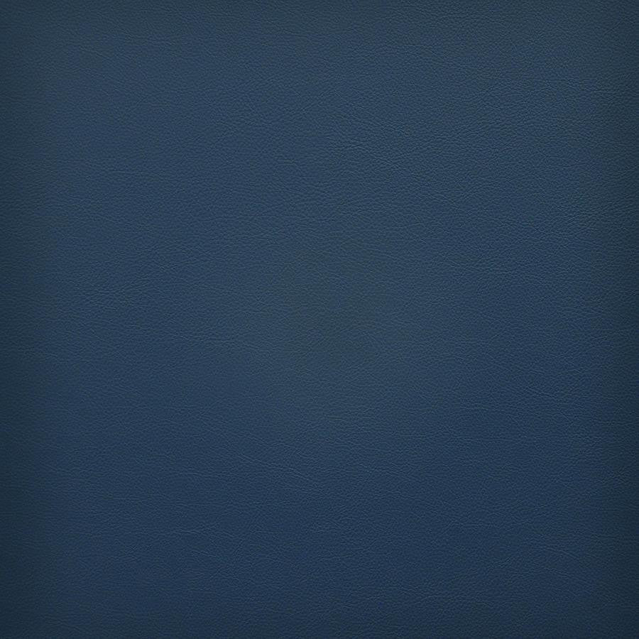 Vesper # 280 Wave by Maxwell Designer Fabric Easy Rider Vi 100% PVC TAIWAN 54" - Swanky Fabrics -