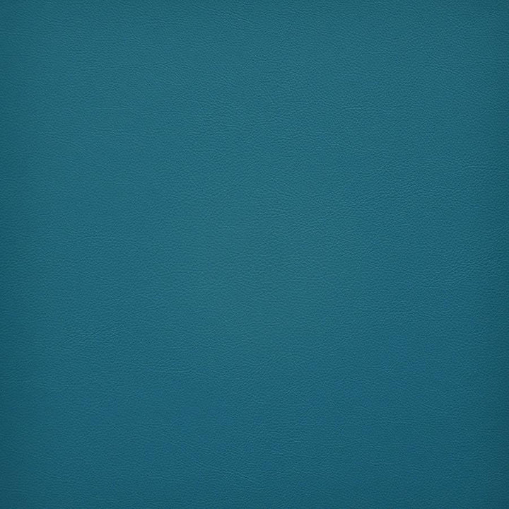 Vesper # 281 Maui by Maxwell Designer Fabric Easy Rider Vi 100% PVC TAIWAN 54" - Swanky Fabrics -