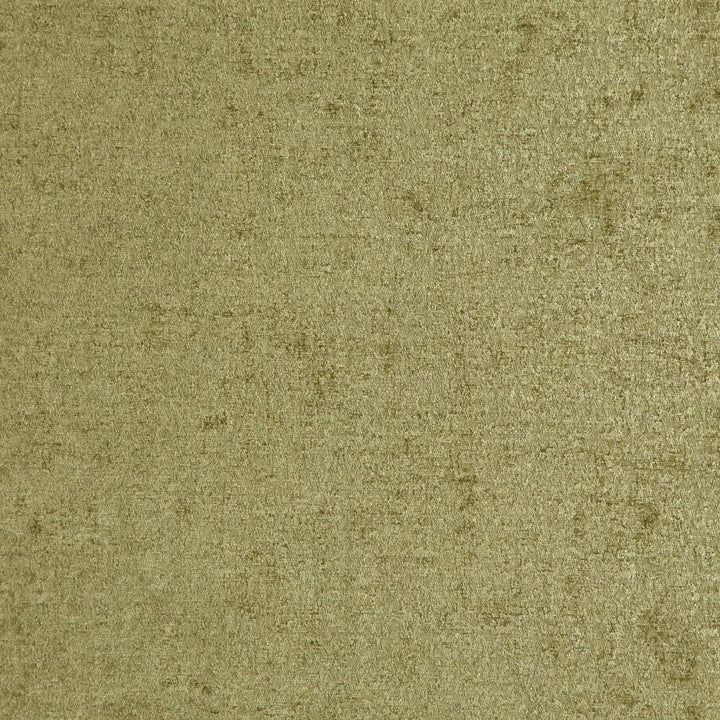 Vaudeville # 312 Grass by Maxwell Designer Fabric Classic Chenilles 85% POLYESTER/15% COTTON INDIA 55" - Swanky Fabrics -