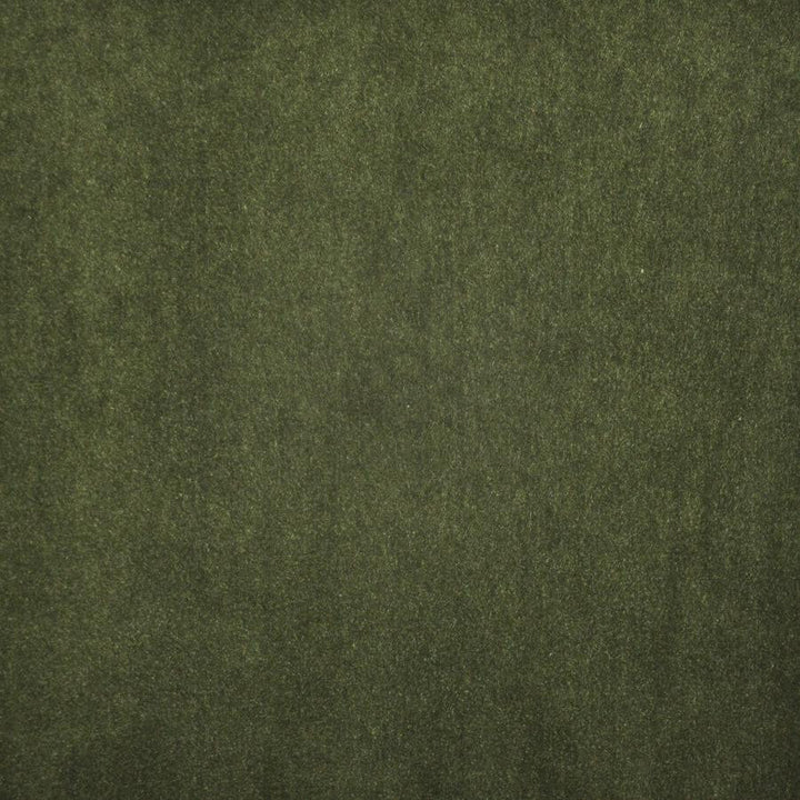 Vera # 716 Moss by Maxwell Designer Fabric Performance Wovens-Vol. V Paintbrush 100% POLYESTER INDIA 57" - Swanky Fabrics -