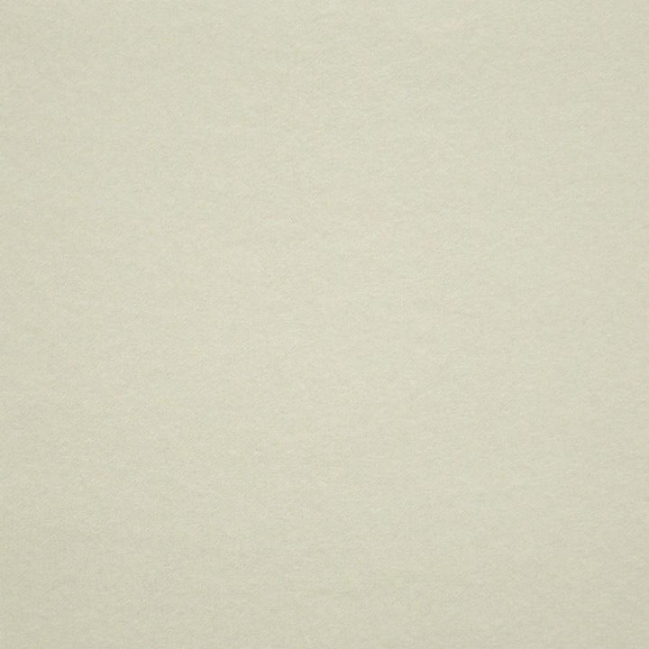 Vera # 924 Creme by Maxwell Designer Fabric Performance Wovens-Vol. V Silver Sun 100% POLYESTER INDIA 57" - Swanky Fabrics -