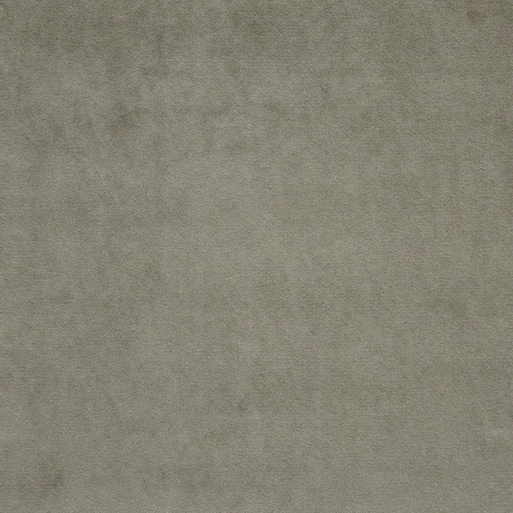 Vera # 939 Doe by Maxwell Designer Fabric Performance Wovens-Vol. V Silver Sun 100% POLYESTER INDIA 57" - Swanky Fabrics -