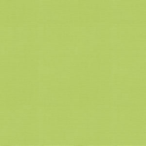 Vail Citron by Norbar Designer Fabric VAIL 100% COTTON INDIA 55 - Swanky Fabrics -