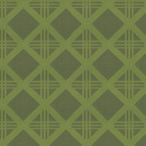 Bold 205 Lime by Endurepel Designer Fabric