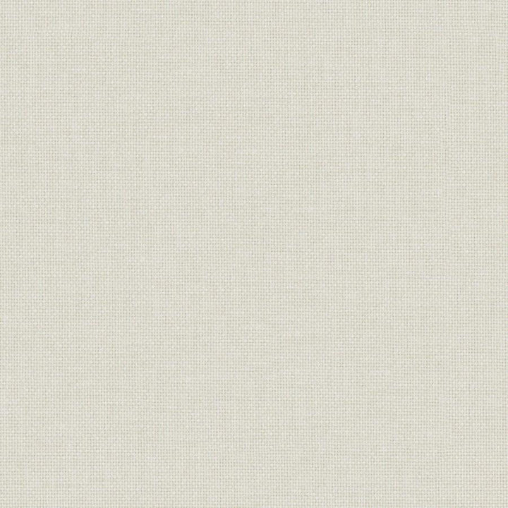 Valentina # 101 Meringue by Maxwell Designer Fabric Wide Width Basics Iii 100% RECYCLED POLYESTER INDIA 118" - Swanky Fabrics -