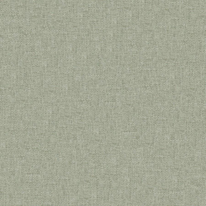 Valentina # 113 Seagrass by Maxwell Designer Fabric Wide Width Basics Iii 100% RECYCLED POLYESTER INDIA 118" - Swanky Fabrics -