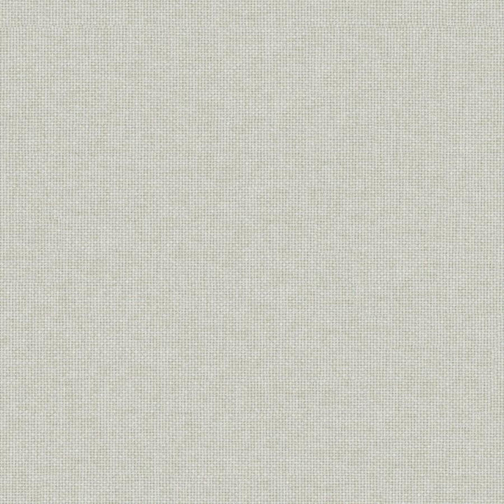 Valentina # 153 Fog by Maxwell Designer Fabric Wide Width Basics Iii 100% RECYCLED POLYESTER INDIA 118" - Swanky Fabrics -