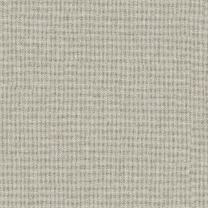 Valentina # 166 Sesame by Maxwell Designer Fabric Wide Width Basics Iii 100% RECYCLED POLYESTER INDIA 118" - Swanky Fabrics -