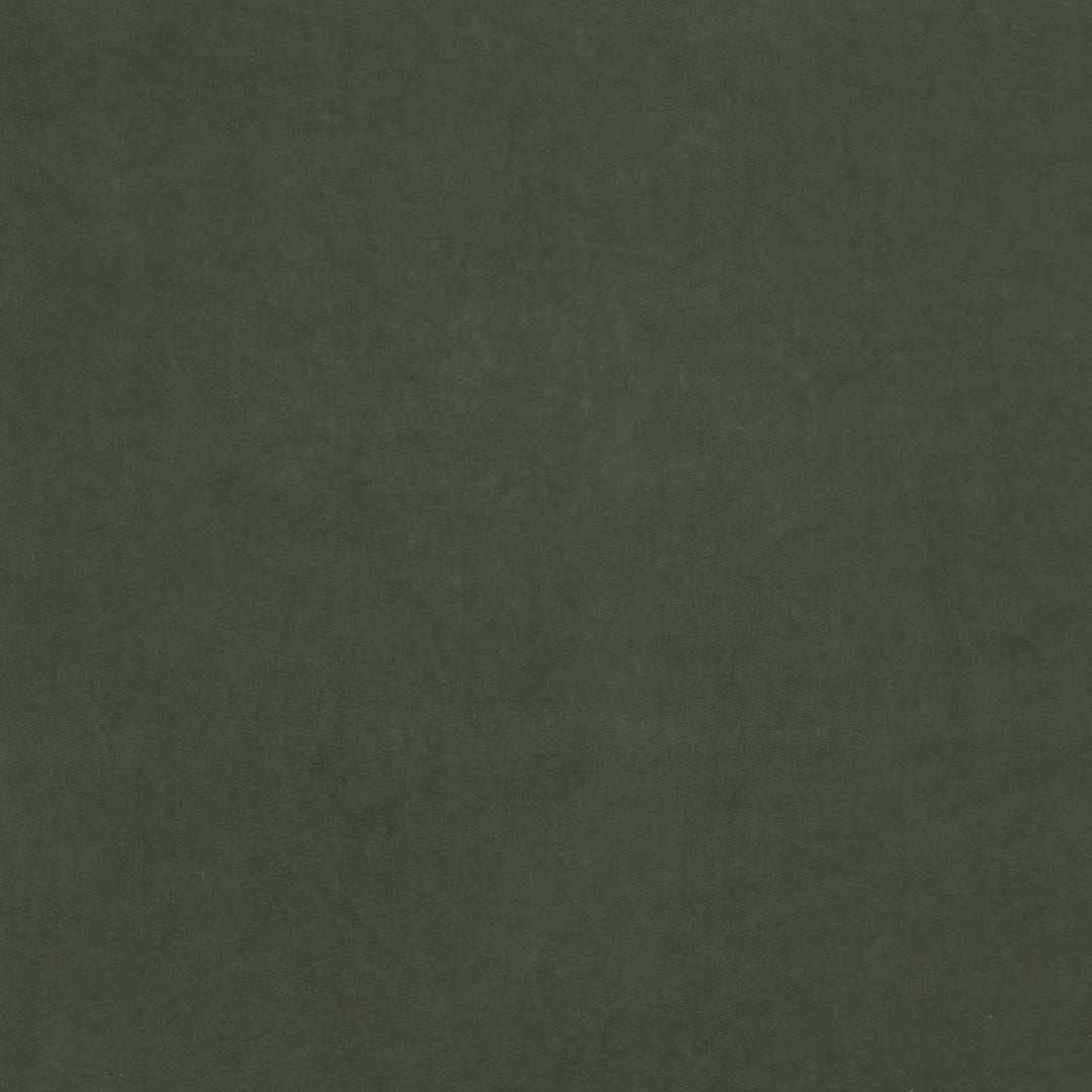 Vagabond-Ess # 403 Bonsai by Maxwell Designer Fabric Performance Essentials Iii 100% POLYESTER CHINA 55" - Swanky Fabrics -