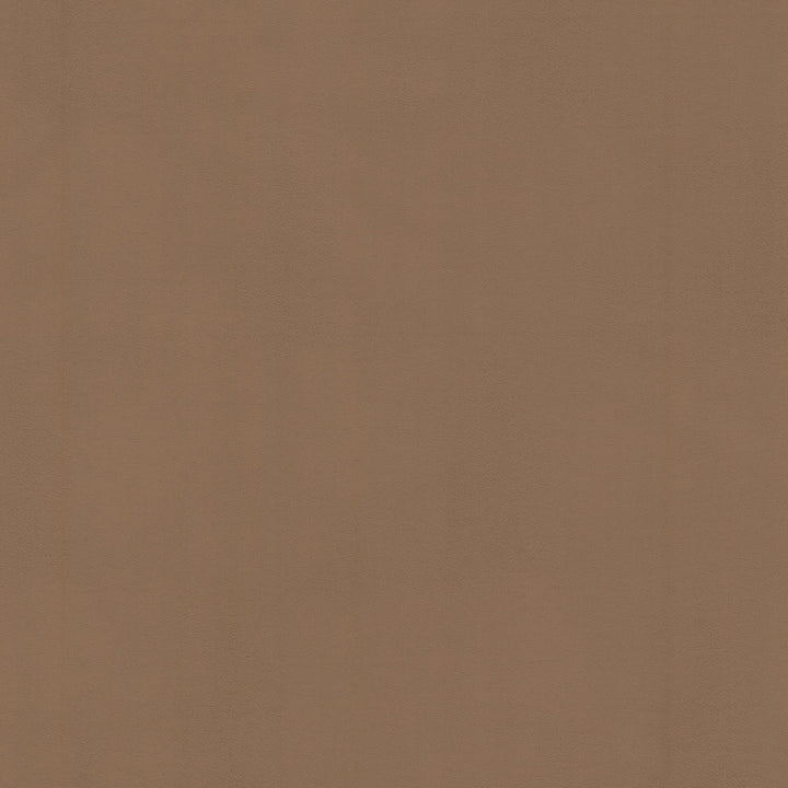 Vermont 1 Tawny by Stout Designer Fabric LEATHER LOOKS V 100%POU 100%OTH CHINA Horizontal: 0.000 and Vertical: 0.000 54 in - Swanky Fabrics -