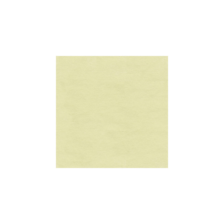 Versailles-E210510 by Kravet Design Designer Fabric COTTON - 100% Netherlands HEAVY Horizontal: 0 and Vertical: 0 54 - Swanky Fabrics -