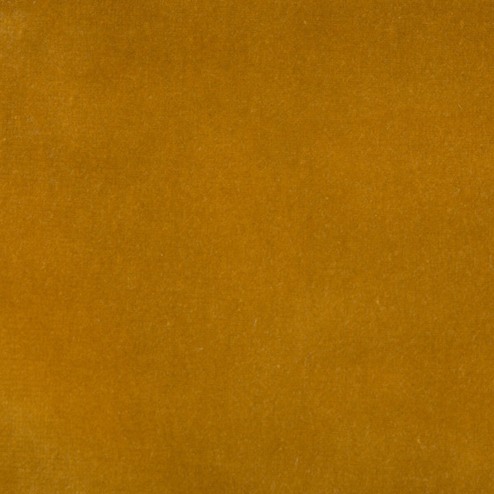 Versailles-E219010 by Kravet Design Designer Fabric COTTON - 100% Netherlands HEAVY Horizontal: 0 and Vertical: 0 54 - Swanky Fabrics -