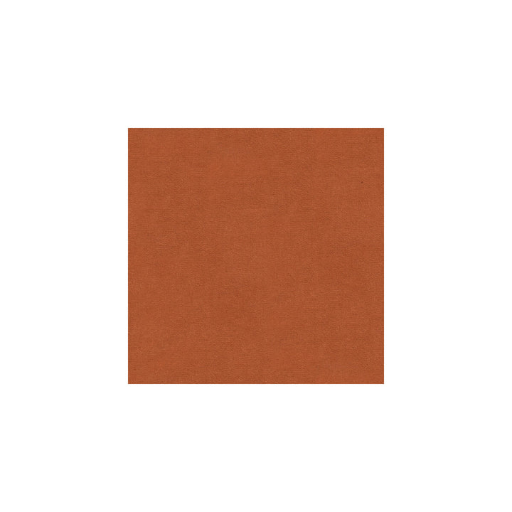 Kravet Design Versailles-E220090 by Kravet Design Fabric Kravet Design Fabric Kravet Design Versailles-E220090Fabric COTTON - 100% Netherlands </p><p>Repeat: H: 0, V: 0 54 - Fabric Carolina -