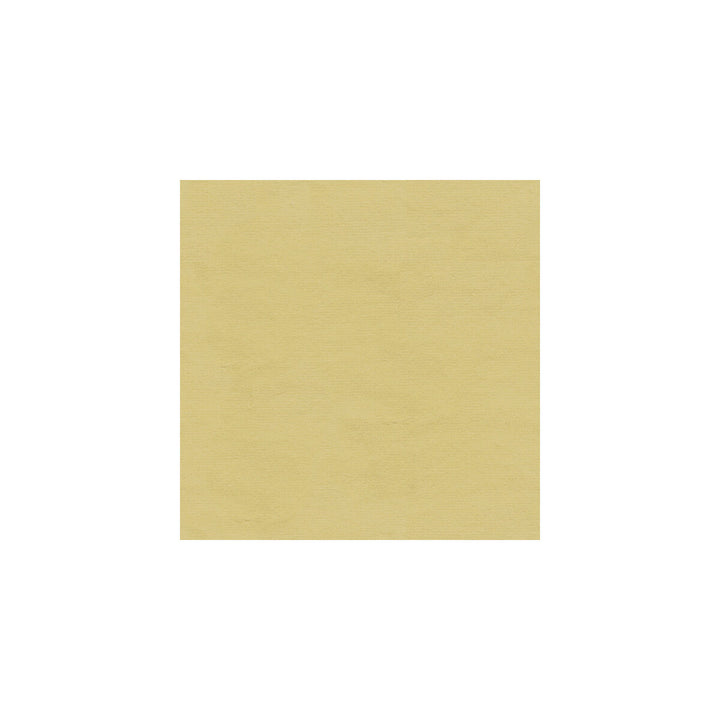 Versailles-E243020 by Kravet Design Designer Fabric - COTTON - 100% Netherlands HEAVY Horizontal: 0 and Vertical: 0 54 - Swanky Fabrics -