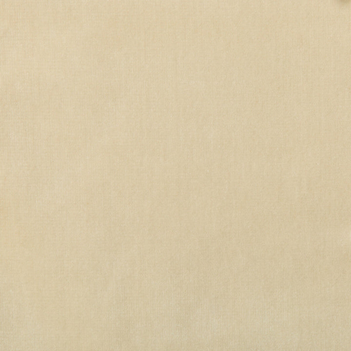 Versailles-E244250 by Kravet Design Designer Fabric COTTON - 100% Netherlands HEAVY Horizontal: 0 and Vertical: 0 54 - Swanky Fabrics -