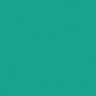 Kravet Design Versailles-E250100 by Kravet Design Fabric Kravet Design Fabric Kravet Design Versailles-E250100Fabric COTTON - 100% Netherlands </p><p>Repeat: H: 0, V: 0 54 - Fabric Carolina -
