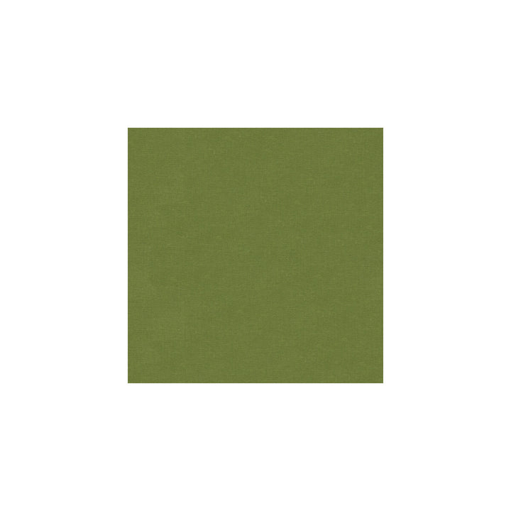 Versailles-E260030 by Kravet Design Designer Fabric COTTON - 100% Netherlands HEAVY Horizontal: 0 and Vertical: 0 54 - Swanky Fabrics -