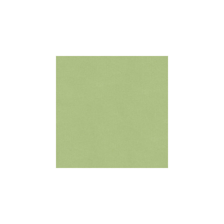 Versailles-E260790 by Kravet Design Designer Fabric COTTON - 100% Netherlands HEAVY Horizontal: 0 and Vertical: 0 54 - Swanky Fabrics -