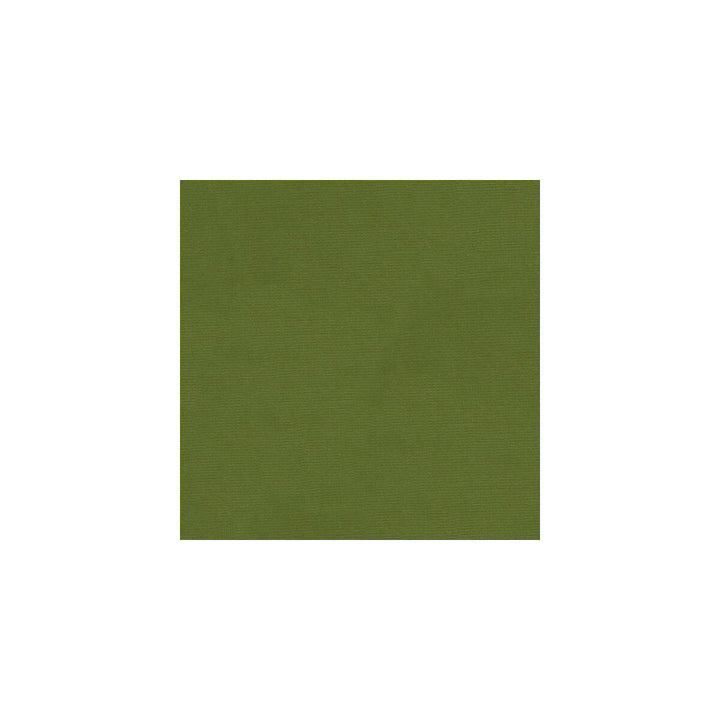 Versailles-E262800 by Kravet Design Designer Fabric - COTTON - 100% Netherlands HEAVY Horizontal: 0 and Vertical: 0 54 - Swanky Fabrics -