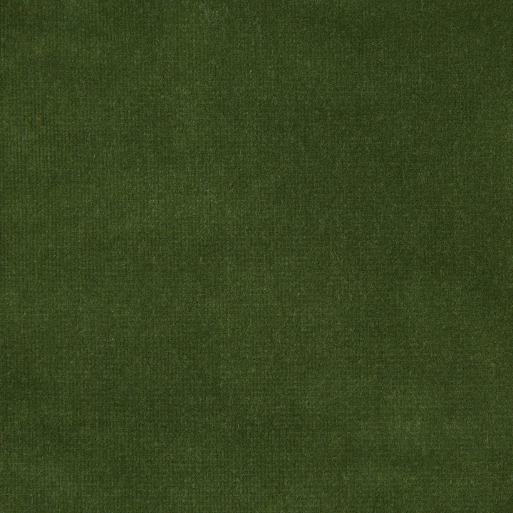 Versailles-E263200 by Kravet Design Designer Fabric - COTTON - 100% Netherlands HEAVY Horizontal: 0 and Vertical: 0 54 - Swanky Fabrics -