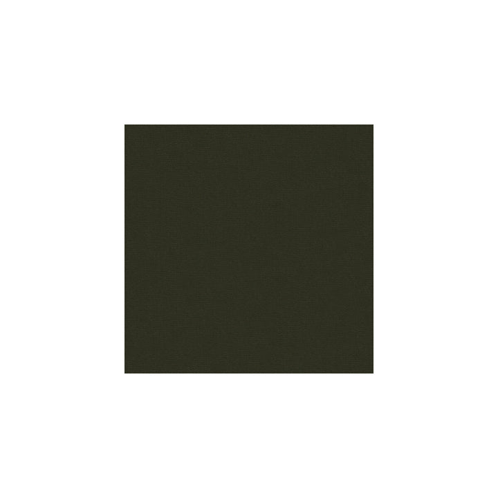 Versailles-E263250 by Kravet Design Designer Fabric COTTON - 100% Netherlands HEAVY Horizontal: 0 and Vertical: 0 54 - Swanky Fabrics -