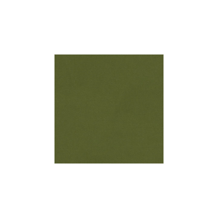 Versailles-E264040 by Kravet Design Designer Fabric - COTTON - 100% Netherlands HEAVY Horizontal: 0 and Vertical: 0 54 - Swanky Fabrics -