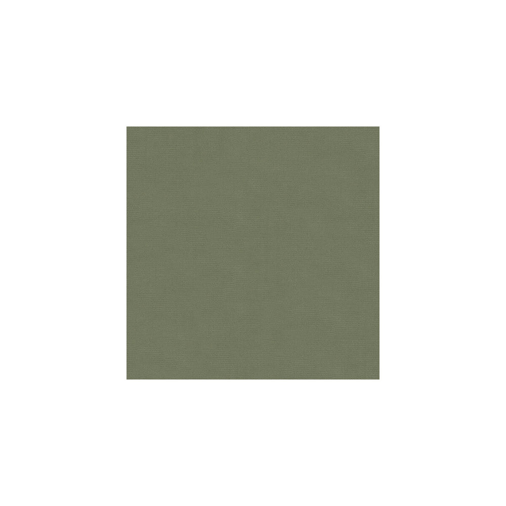 Versailles-E265120 by Kravet Design Designer Fabric - COTTON - 100% Netherlands HEAVY Horizontal: 0 and Vertical: 0 54 - Swanky Fabrics -
