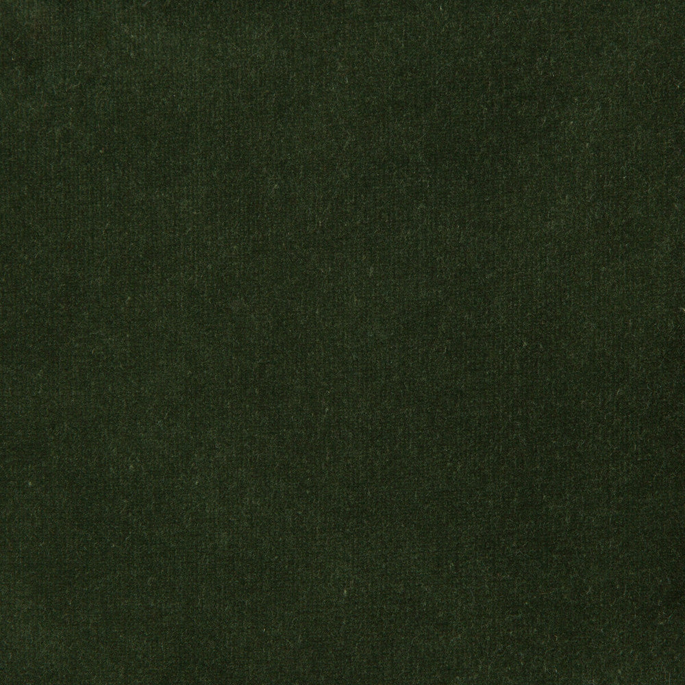 Versailles-E269200 by Kravet Design Designer Fabric COTTON - 100% Netherlands HEAVY Horizontal: 0 and Vertical: 0 54 - Swanky Fabrics -