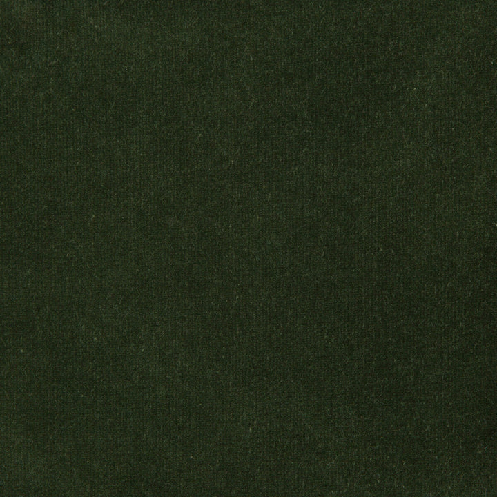 Versailles-E269200 by Kravet Design Designer Fabric COTTON - 100% Netherlands HEAVY Horizontal: 0 and Vertical: 0 54 - Swanky Fabrics -