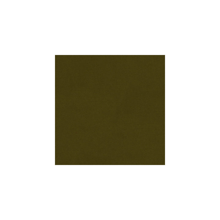 Versailles-E272000 by Kravet Design Designer Fabric - COTTON - 100% Netherlands HEAVY Horizontal: 0 and Vertical: 0 54 - Swanky Fabrics -