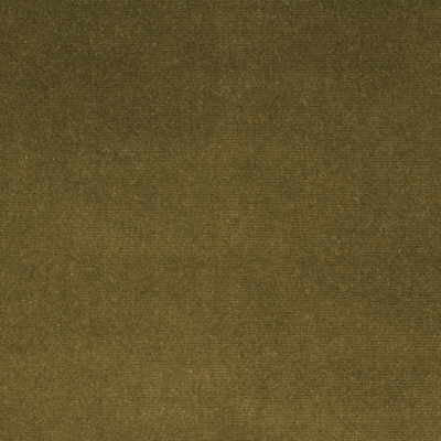 Versailles-E284450 by Kravet Design Designer Fabric - COTTON - 100% Netherlands HEAVY Horizontal: 0 and Vertical: 0 54 - Swanky Fabrics -