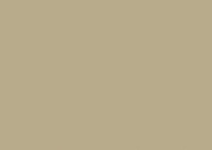 Viscaya Cashmere by Norbar Designer Fabric BLISS 100% INHERENTLY FLAME INDIA 54 - Swanky Fabrics -