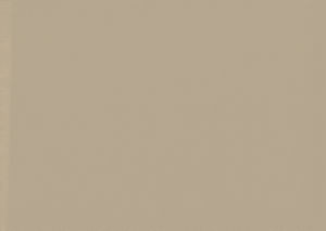 Viscaya Moonlight by Norbar Designer Fabric BLISS 100% INHERENTLY FLAME INDIA 54 - Swanky Fabrics -