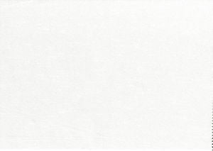 Viscaya Snow by Norbar Designer Fabric