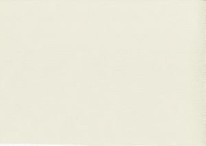 Viscaya Straw by Norbar Designer Fabric BLISS 100% INHERENTLY FLAME INDIA 54 - Swanky Fabrics -