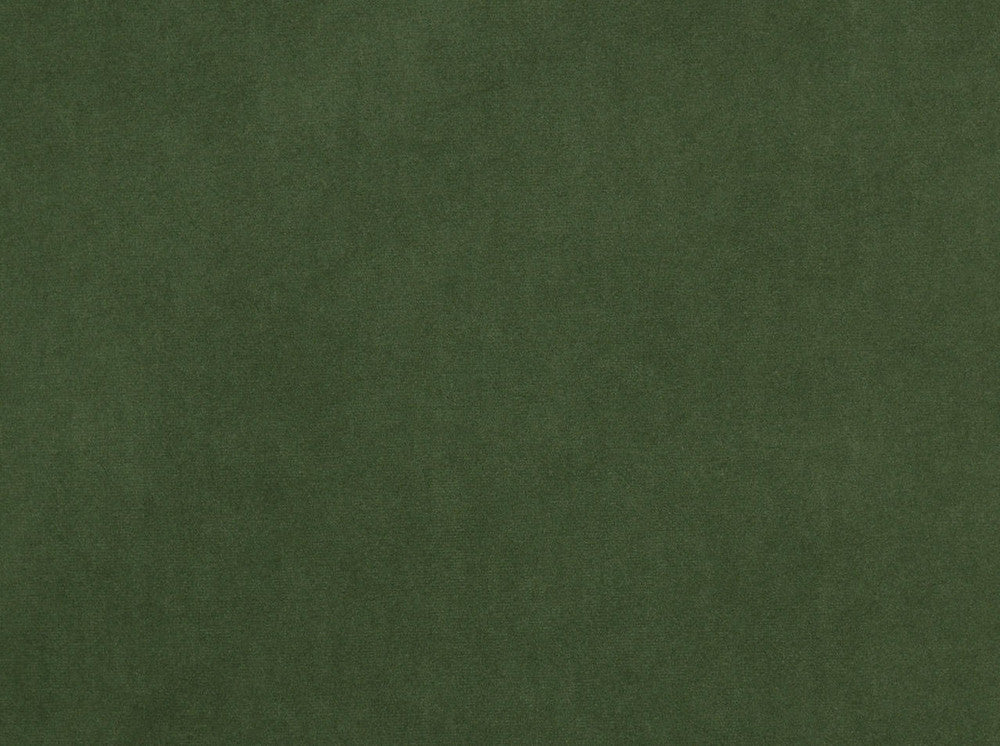 Vitani 297 Windsor Green by Covington Designer Fabric Covington Right 24.5 36.75 0 0 by product