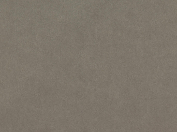 Vitani 670 Mink by Covington Designer Fabric Covington Right 24.5 36.75 0 0 by product