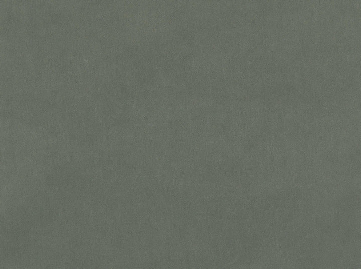 Vitani 948 Charcoal by Covington Designer Fabric Covington Right 24.5 36.75 0 0 by product