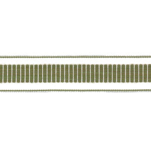 Volare Tape 3 Moss by Stout Designer Trim