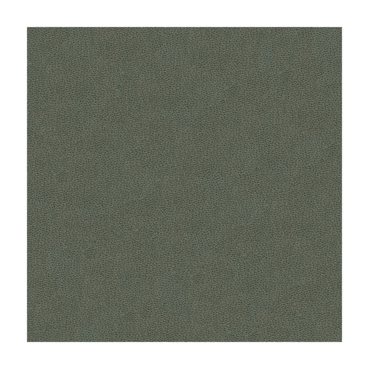 Volo-11 by Kravet Design Designer Fabric ULTRALEATHER PLUS IV POLYURETHANE - 100% China HEAVY Horizontal: and Vertical: 54 - Swanky Fabrics -