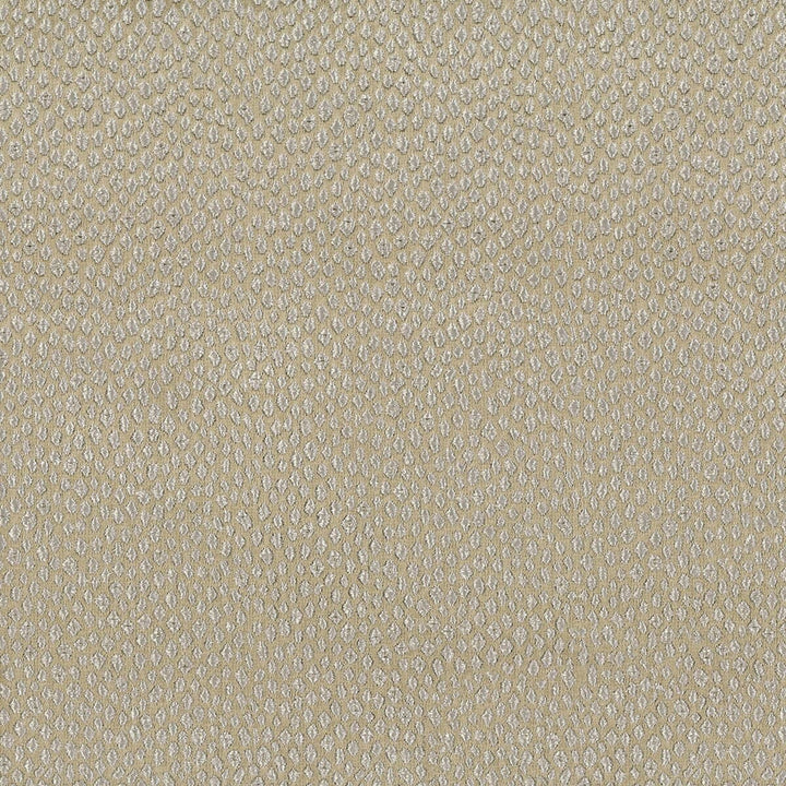Voyager 2 Platinum by Stout Designer Fabric COMFORTABLE LIVING SHADOW/CHARCOAL 100%POL INDIA </p><p>Repeat: 0 54 in - Swanky Fabrics -