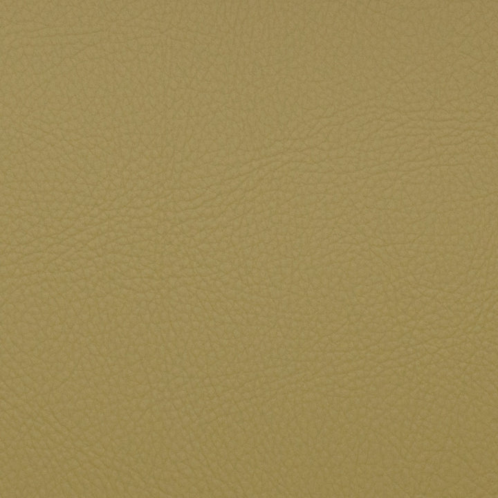 Voyager Aloe by Magnolia Designer Fabric - 100% Pvc China 100,000+ Horizontal: 0 and Vertical: 0 54" - Swanky Fabrics -