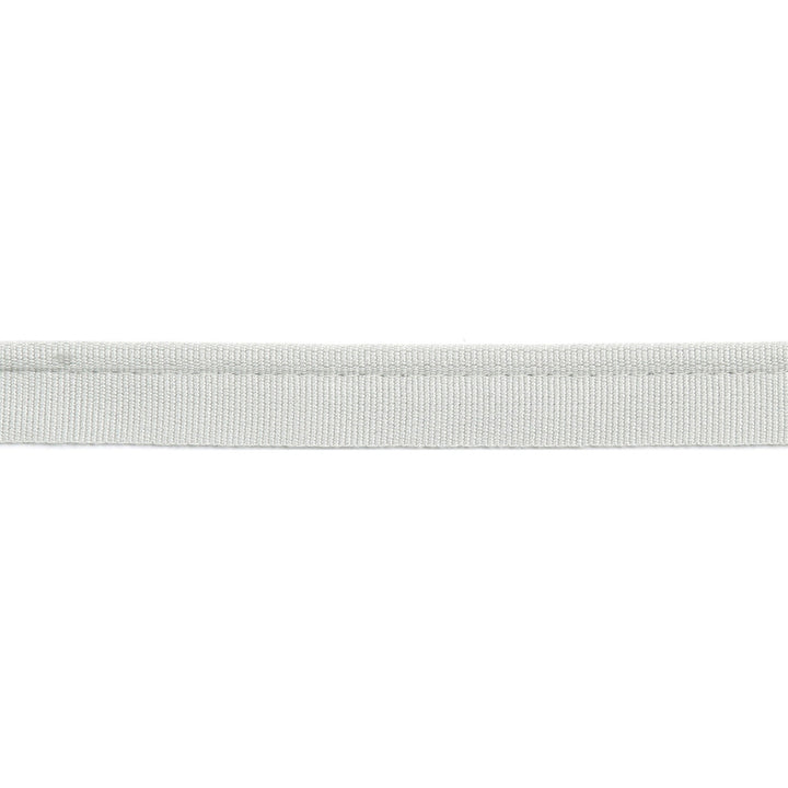 Versailles 1/4" Grosgrain Ribbon Lip Cord Platinum by Europatex Designer Fabric Versailles 64% Rayon, 34% Cotton, 2% Polyester 0.25 inches - Swanky Fabrics -