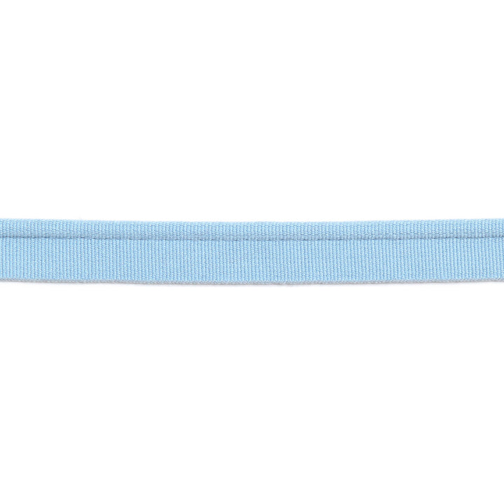 Versailles 1/4" Grosgrain Ribbon Lip Cord Sky by Europatex Designer Fabric Versailles 64% Rayon, 34% Cotton, 2% Polyester 0.25 inches - Swanky Fabrics -