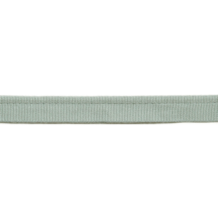 Versailles 1/4" Grosgrain Ribbon Lip Cord Soft Mineral by Europatex Designer Fabric Versailles 64% Rayon, 34% Cotton, 2% Polyester 0.25 inches - Swanky Fabrics -