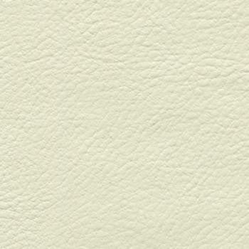 Verve Angora EVE-002 by Burch Designer Fabric our website for purchase 100% Polyurethane USA or Asia Water-based cleaning agents and foam may be used for cleaning. This fabric may also be cleaned with mild, water-free solvents. Cleaning by a professional cleaning service is recommended. Horizontal: - and Vertical: - 54" - Swanky Fabrics -