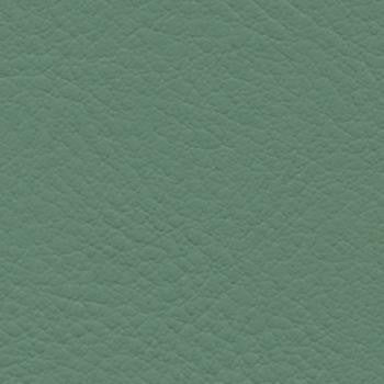 Verve Basil EVE-006 by Burch Designer Fabric our website for purchase 100% Polyurethane USA or Asia Water-based cleaning agents and foam may be used for cleaning. This fabric may also be cleaned with mild, water-free solvents. Cleaning by a professional cleaning service is recommended. Horizontal: - and Vertical: - 54" - Swanky Fabrics -