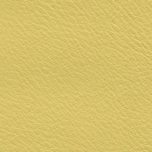 Verve Daffodil EVE-011 by Nassimi Designer Fabric