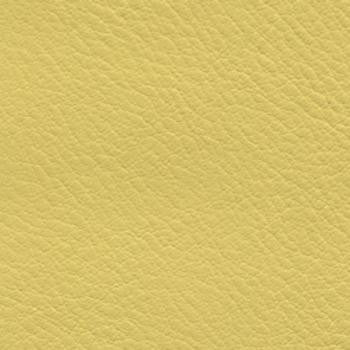Verve Daffodil EVE-011 by Nassimi Designer Fabric See sample 100% Polyurethane USA or Imported Water-based cleaning agents and foam may be used for cleaning. Cleaning by a professional cleaning service is recommended.  54  - Swanky Fabrics -