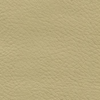 Verve Ecru by Nassimi Designer Fabric See sample 100% Polyurethane  250000 Horizontal: Not Applicable and Vertical: Not Applicable 54"  - Swanky Fabrics -